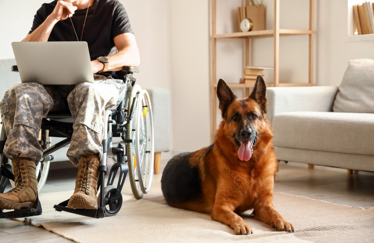 veteran in wheelchair and his dog at home